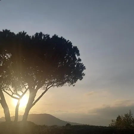 Podere Grandolfi B&B