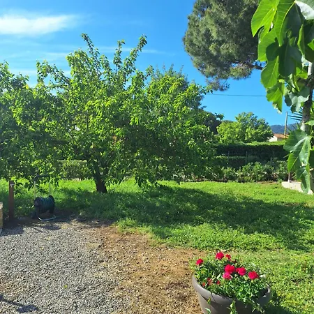 Podere Grandolfi فندق مبيت وإفطار كابوليفيري